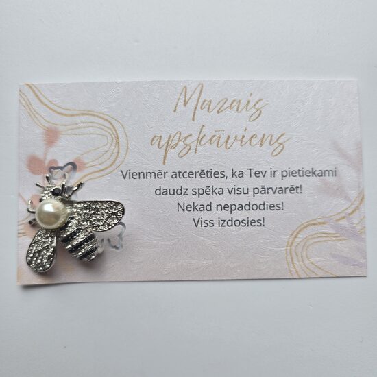 Broša- sudraba bitīte